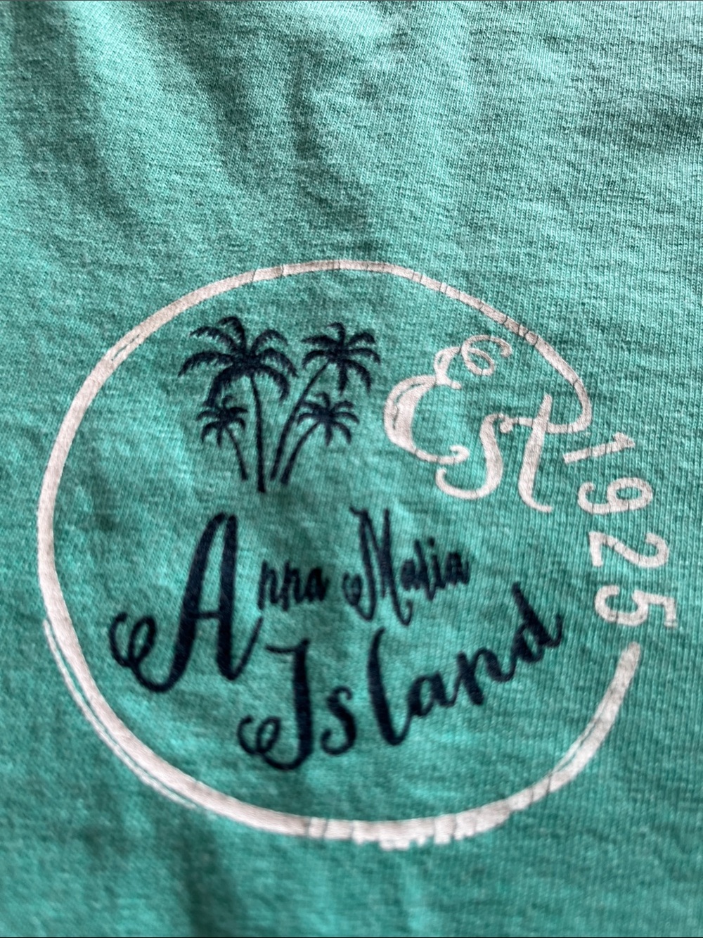Vintage Anna Maria Island Florida Mint Green Long Sleeve Graphic Tee Size Small